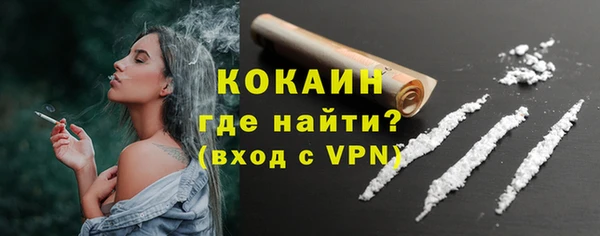 дурь Вяземский