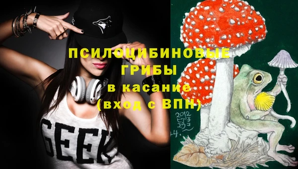 дурь Вяземский
